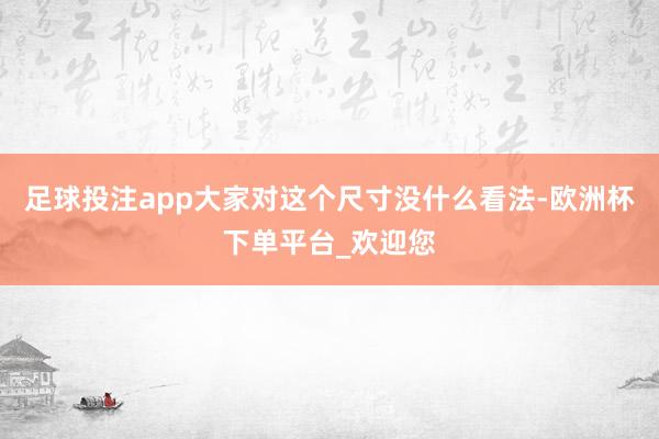 足球投注app大家对这个尺寸没什么看法-欧洲杯下单平台_欢迎您