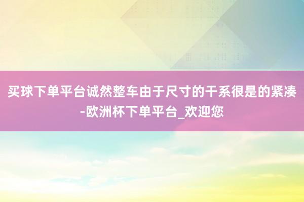 买球下单平台诚然整车由于尺寸的干系很是的紧凑-欧洲杯下单平台_欢迎您