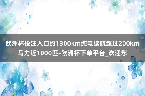 欧洲杯投注入口约1300km纯电续航超过200km马力近1000匹-欧洲杯下单平台_欢迎您