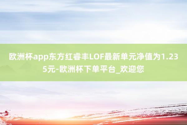 欧洲杯app东方红睿丰LOF最新单元净值为1.235元-欧洲杯下单平台_欢迎您