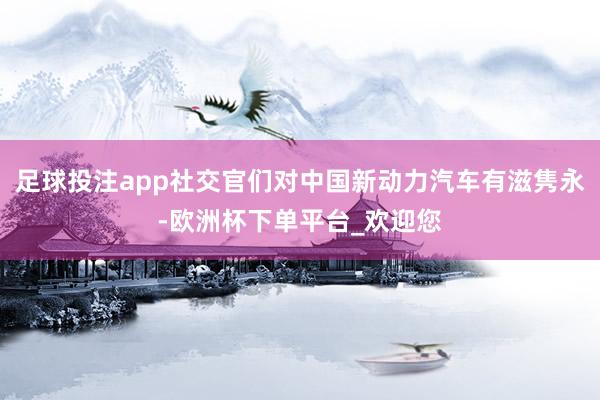 足球投注app社交官们对中国新动力汽车有滋隽永-欧洲杯下单平台_欢迎您