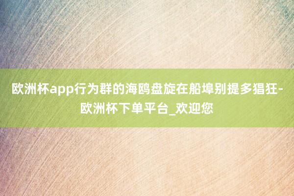 欧洲杯app行为群的海鸥盘旋在船埠别提多猖狂-欧洲杯下单平台_欢迎您