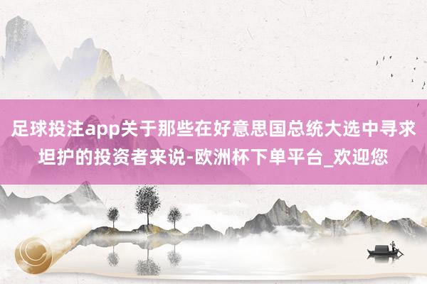 足球投注app关于那些在好意思国总统大选中寻求坦护的投资者来说-欧洲杯下单平台_欢迎您