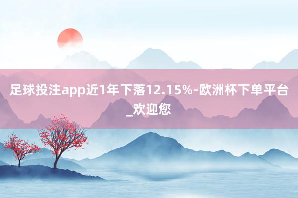足球投注app近1年下落12.15%-欧洲杯下单平台_欢迎您