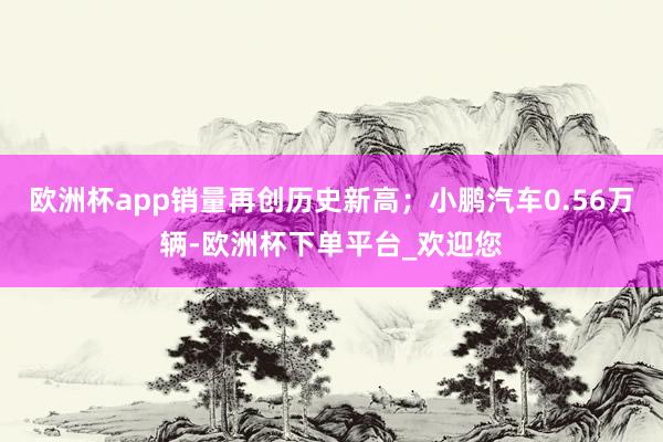 欧洲杯app销量再创历史新高；小鹏汽车0.56万辆-欧洲杯下单平台_欢迎您