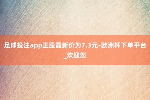 足球投注app正股最新价为7.3元-欧洲杯下单平台_欢迎您