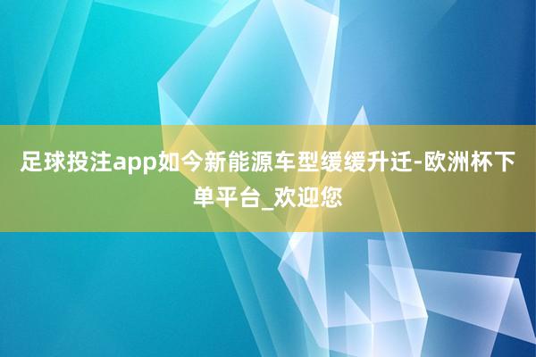 足球投注app如今新能源车型缓缓升迁-欧洲杯下单平台_欢迎您