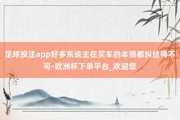 足球投注app好多东谈主在买车的本领都纠结得不可-欧洲杯下单平台_欢迎您