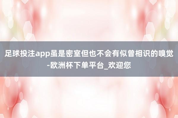 足球投注app虽是密室但也不会有似曾相识的嗅觉-欧洲杯下单平台_欢迎您