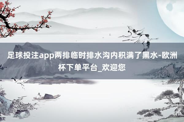 足球投注app两排临时排水沟内积满了黑水-欧洲杯下单平台_欢迎您