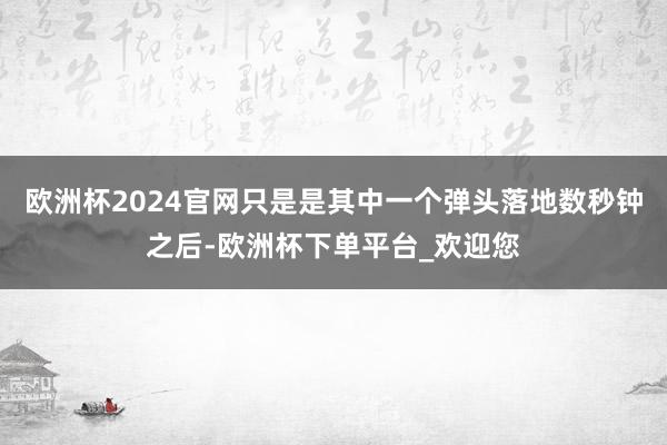 欧洲杯2024官网只是是其中一个弹头落地数秒钟之后-欧洲杯下单平台_欢迎您