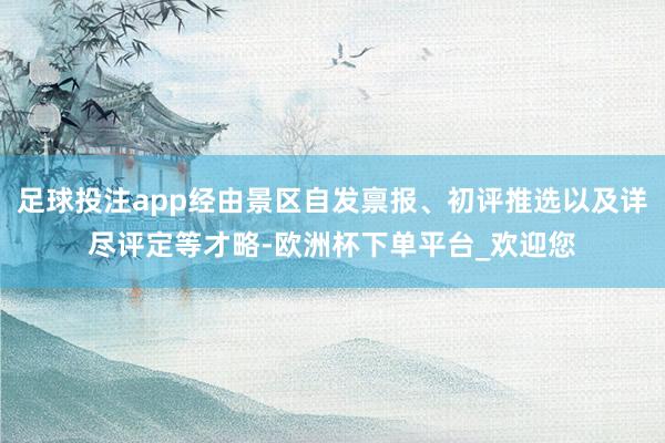 足球投注app经由景区自发禀报、初评推选以及详尽评定等才略-欧洲杯下单平台_欢迎您