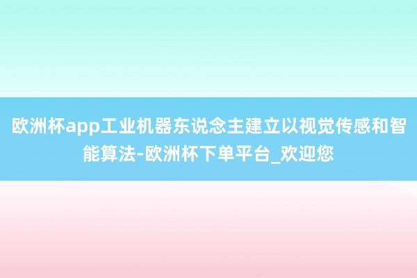 欧洲杯app工业机器东说念主建立以视觉传感和智能算法-欧洲杯下单平台_欢迎您