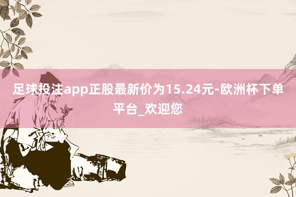 足球投注app正股最新价为15.24元-欧洲杯下单平台_欢迎您