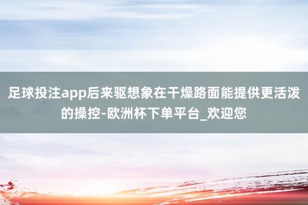 足球投注app后来驱想象在干燥路面能提供更活泼的操控-欧洲杯下单平台_欢迎您