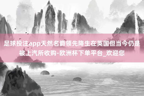 足球投注app天然名爵领先降生在英国但当今仍是被上汽所收购-欧洲杯下单平台_欢迎您