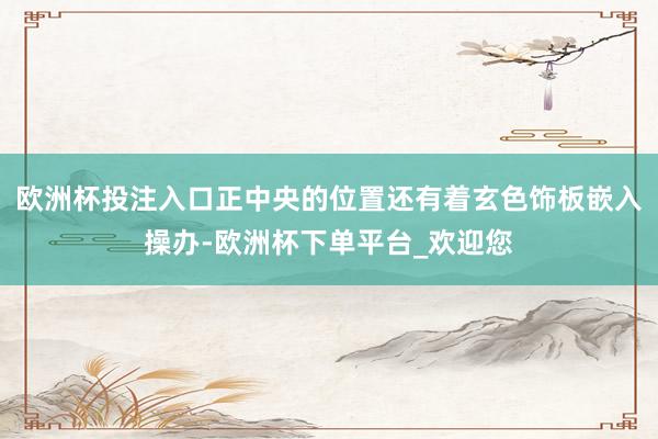 欧洲杯投注入口正中央的位置还有着玄色饰板嵌入操办-欧洲杯下单平台_欢迎您
