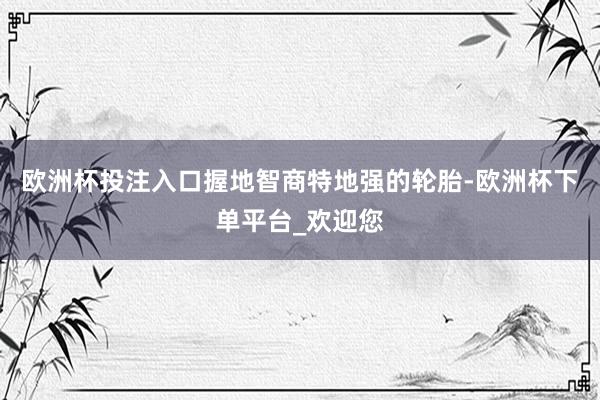 欧洲杯投注入口握地智商特地强的轮胎-欧洲杯下单平台_欢迎您