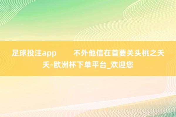 足球投注app        不外他信在首要关头桃之夭夭-欧洲杯下单平台_欢迎您