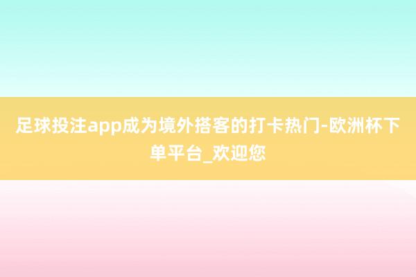 足球投注app成为境外搭客的打卡热门-欧洲杯下单平台_欢迎您