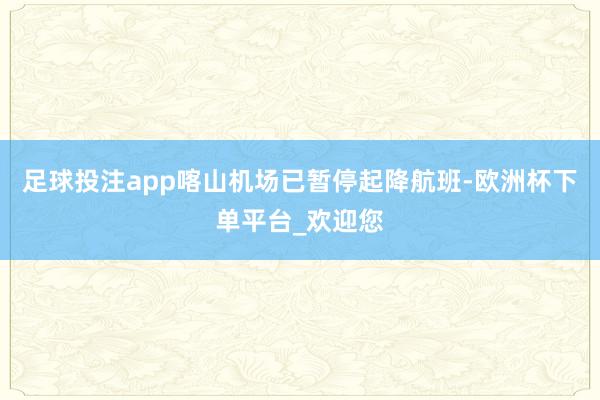 足球投注app喀山机场已暂停起降航班-欧洲杯下单平台_欢迎您