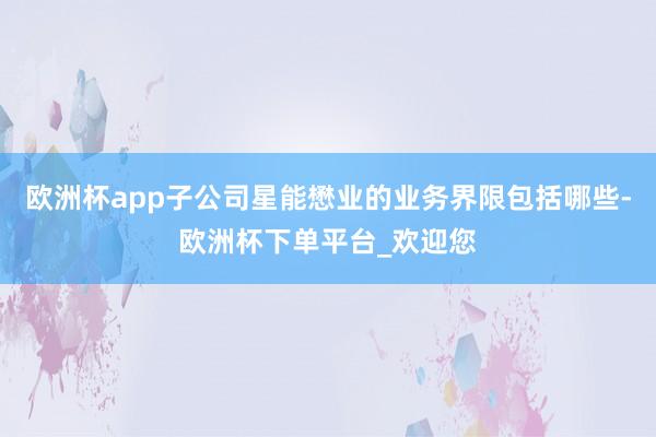 欧洲杯app子公司星能懋业的业务界限包括哪些-欧洲杯下单平台_欢迎您