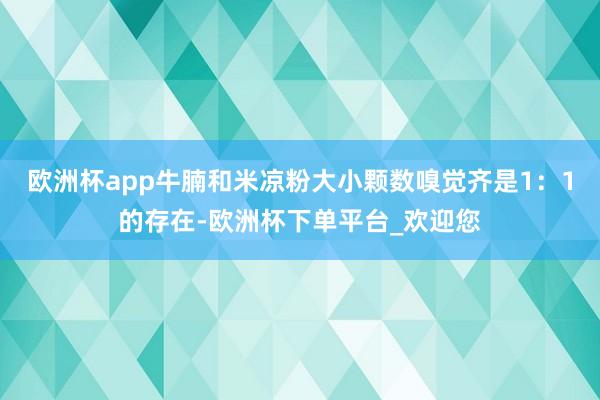 欧洲杯app牛腩和米凉粉大小颗数嗅觉齐是1：1的存在-欧洲杯下单平台_欢迎您