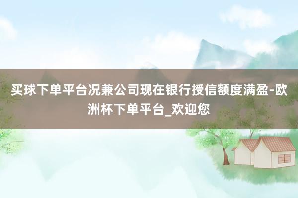 买球下单平台况兼公司现在银行授信额度满盈-欧洲杯下单平台_欢迎您