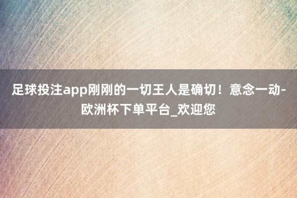 足球投注app刚刚的一切王人是确切！意念一动-欧洲杯下单平台_欢迎您