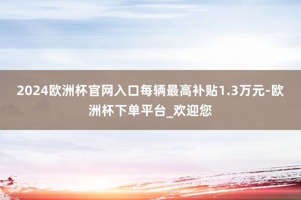 2024欧洲杯官网入口每辆最高补贴1.3万元-欧洲杯下单平台_欢迎您