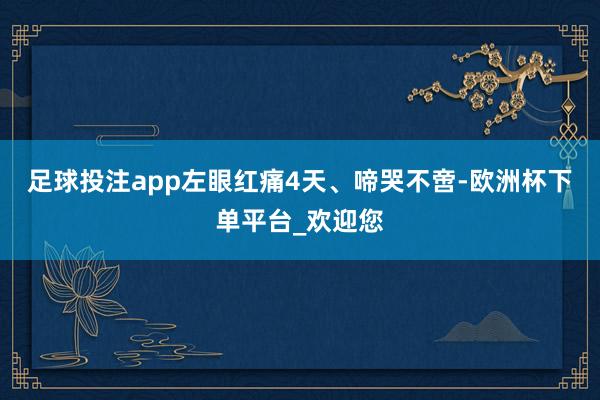 足球投注app左眼红痛4天、啼哭不啻-欧洲杯下单平台_欢迎您