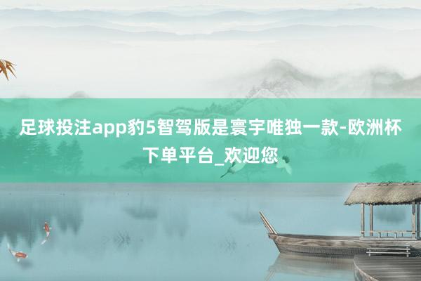 足球投注app豹5智驾版是寰宇唯独一款-欧洲杯下单平台_欢迎您