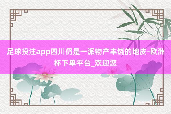 足球投注app四川仍是一派物产丰饶的地皮-欧洲杯下单平台_欢迎您