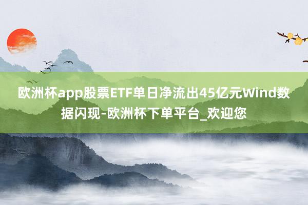 欧洲杯app股票ETF单日净流出45亿元Wind数据闪现-欧洲杯下单平台_欢迎您