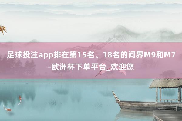足球投注app排在第15名、18名的问界M9和M7-欧洲杯下单平台_欢迎您
