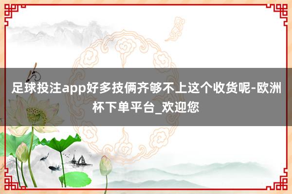 足球投注app好多技俩齐够不上这个收货呢-欧洲杯下单平台_欢迎您