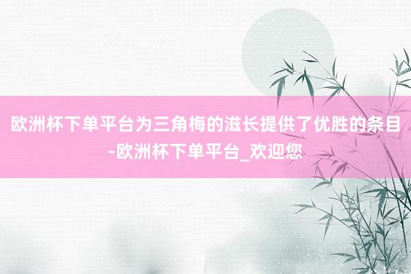 欧洲杯下单平台为三角梅的滋长提供了优胜的条目-欧洲杯下单平台_欢迎您