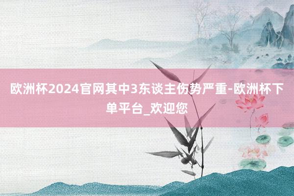 欧洲杯2024官网其中3东谈主伤势严重-欧洲杯下单平台_欢迎您