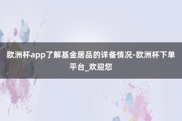 欧洲杯app了解基金居品的详备情况-欧洲杯下单平台_欢迎您