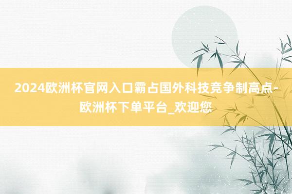 2024欧洲杯官网入口霸占国外科技竞争制高点-欧洲杯下单平台_欢迎您