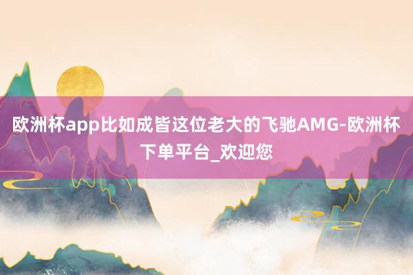 欧洲杯app比如成皆这位老大的飞驰AMG-欧洲杯下单平台_欢迎您