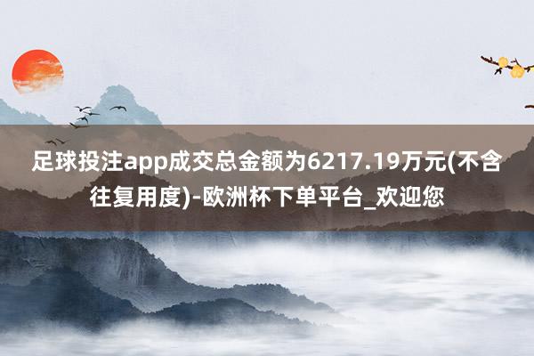 足球投注app成交总金额为6217.19万元(不含往复用度)-欧洲杯下单平台_欢迎您
