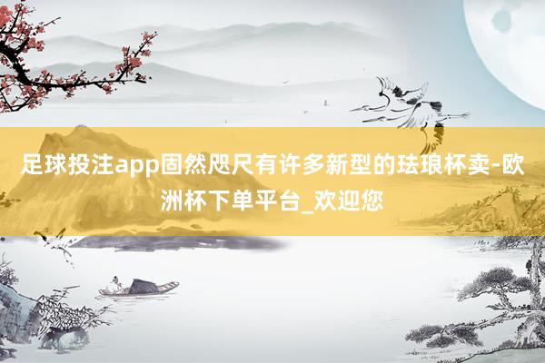 足球投注app固然咫尺有许多新型的珐琅杯卖-欧洲杯下单平台_欢迎您