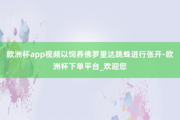 欧洲杯app视频以饲养佛罗里达跳蛛进行张开-欧洲杯下单平台_欢迎您