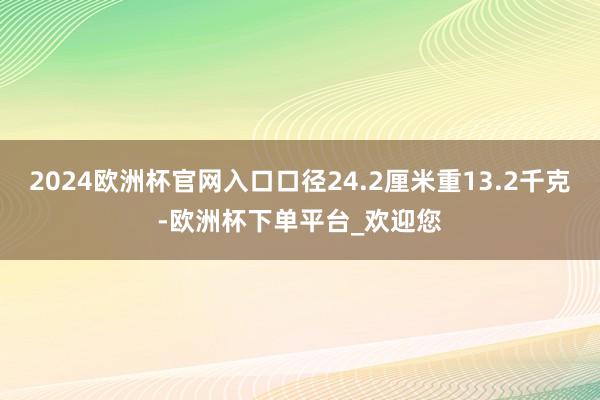 2024欧洲杯官网入口口径24.2厘米重13.2千克-欧洲杯下单平台_欢迎您