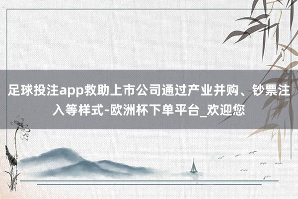 足球投注app救助上市公司通过产业并购、钞票注入等样式-欧洲杯下单平台_欢迎您