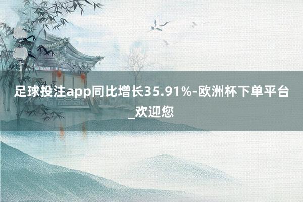 足球投注app同比增长35.91%-欧洲杯下单平台_欢迎您