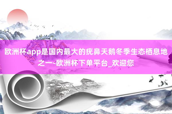 欧洲杯app是国内最大的疣鼻天鹅冬季生态栖息地之一-欧洲杯下单平台_欢迎您