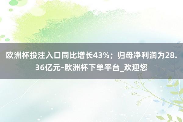 欧洲杯投注入口同比增长43%；归母净利润为28.36亿元-欧洲杯下单平台_欢迎您