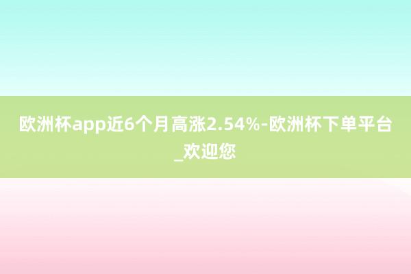 欧洲杯app近6个月高涨2.54%-欧洲杯下单平台_欢迎您